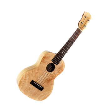 Ukulele tuition in Leicester